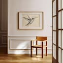 Room view with a matted frame of A vintage charcoal sketch, a hummingbird