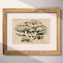 Matted frame view of A farmhouse ink sketch, a cluster of mushrooms