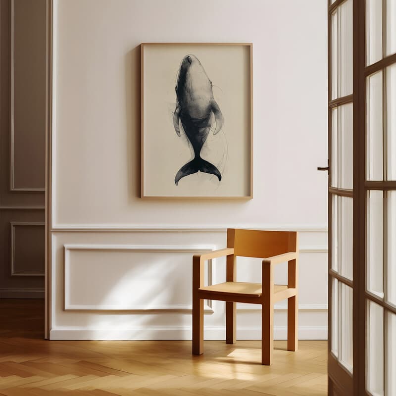 Room view with a full frame of A vintage pencil sketch, a whale