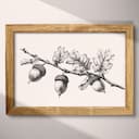 Full frame view of A vintage pencil sketch, acorns on branches