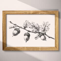 Acorns Digital Download | Nature Wall Decor | Botanical Decor | White, Black and Gray Print | Vintage Wall Art | Living Room Art | Housewarming Digital Download | Thanksgiving Wall Decor | Autumn Decor | Pencil Sketch