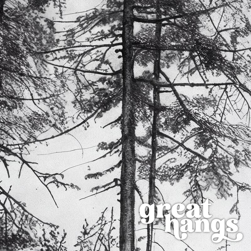 Closeup view of A vintage charcoal sketch, pine trees on a hill