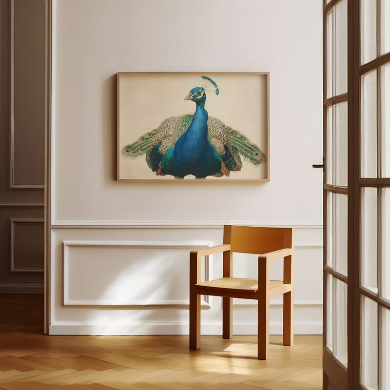 Room view with a full frame of An art deco pastel pencil illustration, a peacock