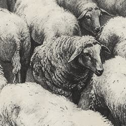 Sheep Herd Art | Animal Wall Art | Animals Print | Beige, Black and Gray Decor | Farmhouse Wall Decor | Living Room Digital Download | Housewarming Art | Autumn Wall Art | Graphite Sketch