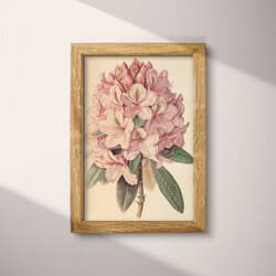 Rhododendron Art | Botanical Wall Art | Flowers Print | Beige, Pink, Green and Black Decor | Vintage Wall Decor | Living Room Digital Download | Housewarming Art | Mother's Day Wall Art | Spring Print | Pastel Pencil Illustration