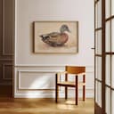 Room view with a full frame of A vintage pastel pencil illustration, a duck
