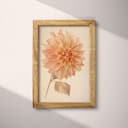 Full frame view of A vintage pastel pencil illustration, a dahlia flower