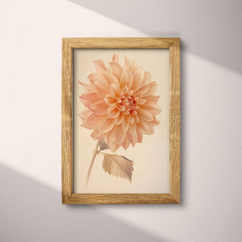 Full frame view of A vintage pastel pencil illustration, a dahlia flower