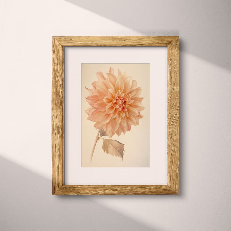 Matted frame view of A vintage pastel pencil illustration, a dahlia flower