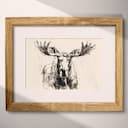 Matted frame view of A vintage graphite sketch, a moose, front view