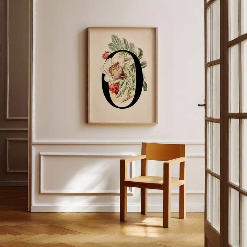 Room view with a full frame of A vintage pastel pencil illustration, the letter "O" with a flower