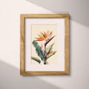 Matted frame view of A scandinavian colored pencil illustration, a birds of paradise flower