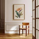Room view with a matted frame of A scandinavian colored pencil illustration, a birds of paradise flower