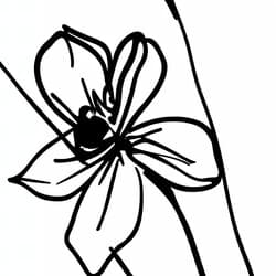 Flower Vase Digital Download | Floral Wall Decor | Flowers Decor | White, Black and Gray Print | Vintage Wall Art | Living Room Art | Housewarming Digital Download | Mother's Day Wall Decor | Spring Decor | Ink Sketch