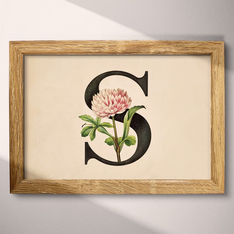 Full frame view of A vintage pastel pencil illustration, the letter "S" with a flower