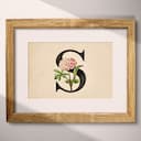 Matted frame view of A vintage pastel pencil illustration, the letter "S" with a flower