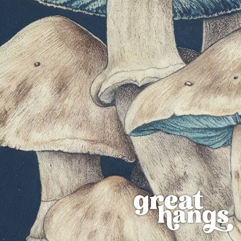 Closeup view of A vintage pastel pencil illustration, mushrooms