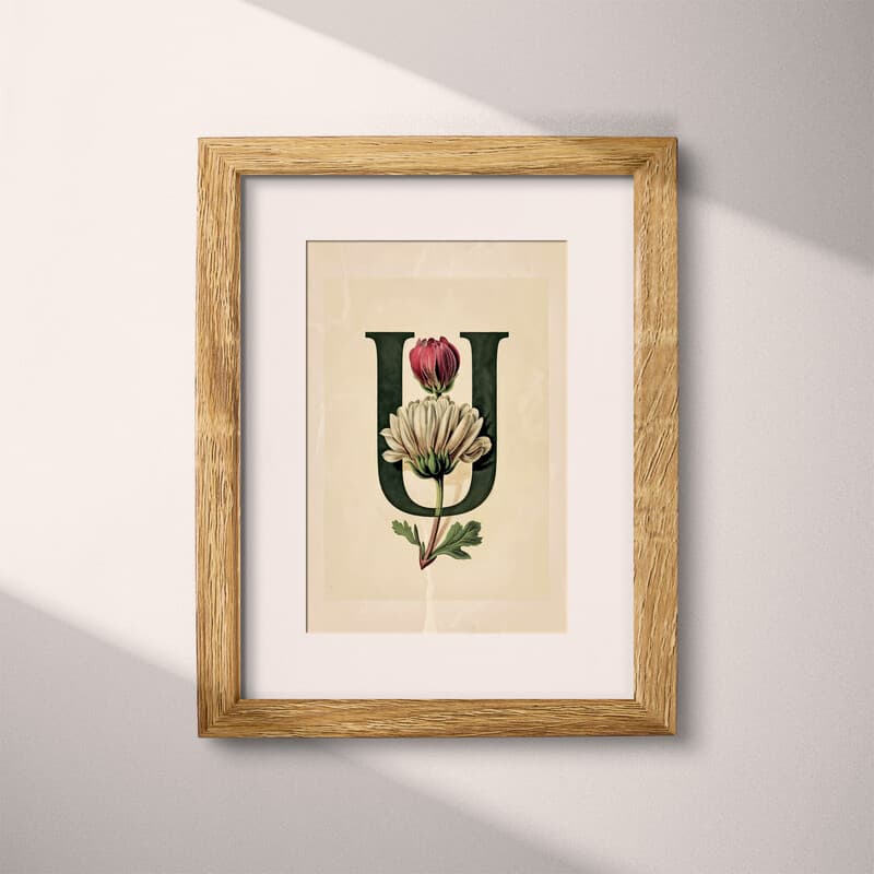 Matted frame view of A vintage pastel pencil illustration, the letter "U" with a flower