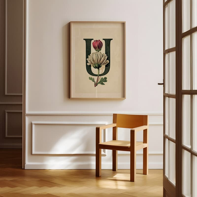 Room view with a full frame of A vintage pastel pencil illustration, the letter "U" with a flower