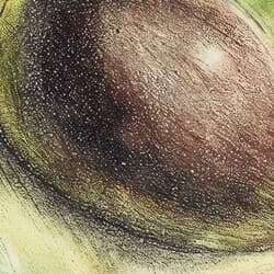 Avocado Art | Food Wall Art | Food & Drink Print | Gray, Black and Green Decor | Vintage Wall Decor | Kitchen & Dining Digital Download | Housewarming Art | Cinco de Mayo Wall Art | Autumn Print | Pastel Pencil Illustration