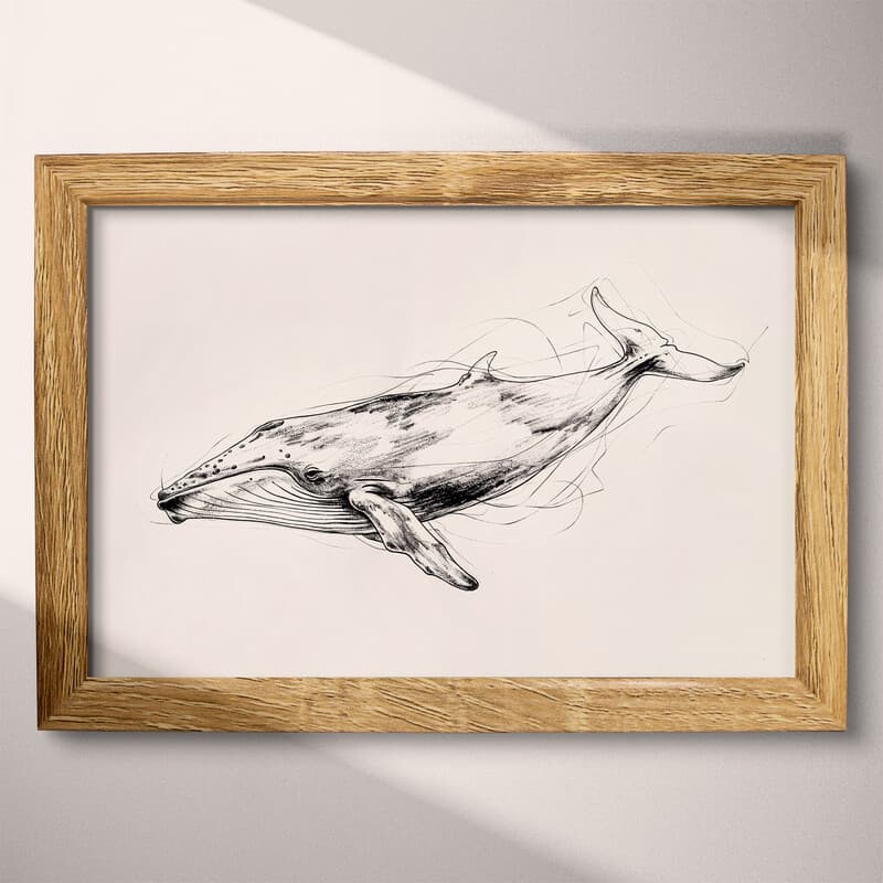 Full frame view of A vintage ink sketch, a whale