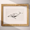 Matted frame view of A vintage ink sketch, a whale