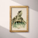 Full frame view of A rustic pastel pencil illustration, a turtle in seagrass