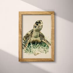 Turtle Digital Download | Marine Life Wall Decor | Animals Decor | Beige, Black, Brown and Green Print | Rustic Wall Art | Living Room Art | Housewarming Digital Download | Summer Wall Decor | Pastel Pencil Illustration