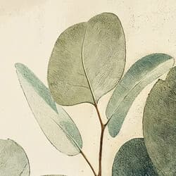 Eucalyptus Leaves Digital Download | Botanical Wall Decor | Botanical Decor | Brown, Gray, Green and Black Print | Contemporary Wall Art | Living Room Art | Housewarming Digital Download | Autumn Wall Decor | Pastel Pencil Illustration
