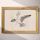 Full frame view of A vintage ink sketch, a seagull