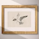 Matted frame view of A vintage ink sketch, a seagull