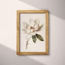 Full frame view of A vintage pastel pencil illustration, a magnolia flower