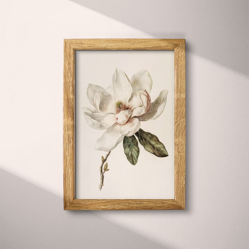 Full frame view of A vintage pastel pencil illustration, a magnolia flower