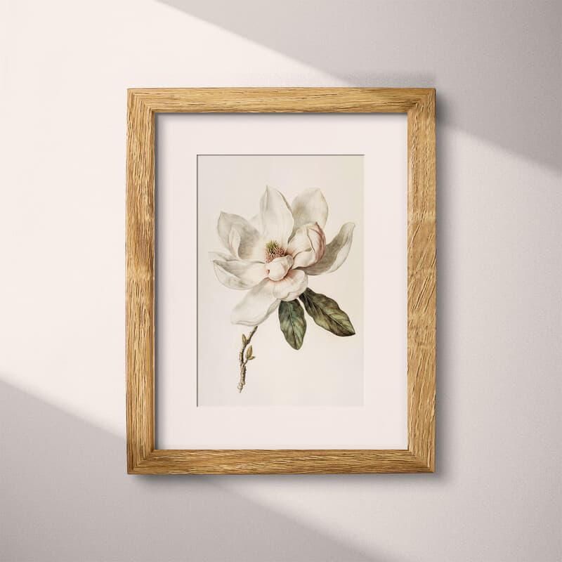 Matted frame view of A vintage pastel pencil illustration, a magnolia flower